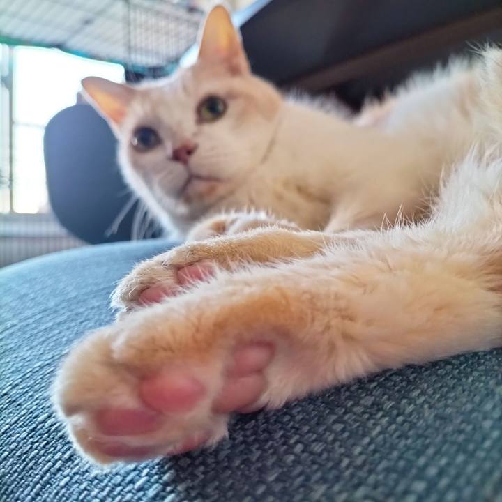 A5555746 2c8b 497c ad82 63bef972eae2 1701212565687