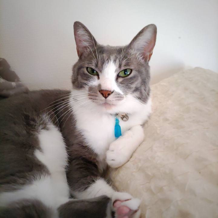 A5557af1 a21c 4b90 8fff 318c9e79b8cd 1696543613288