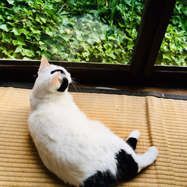 A555938e 6fdd 4ef3 9e38 be97a250c2ea 1560221135501