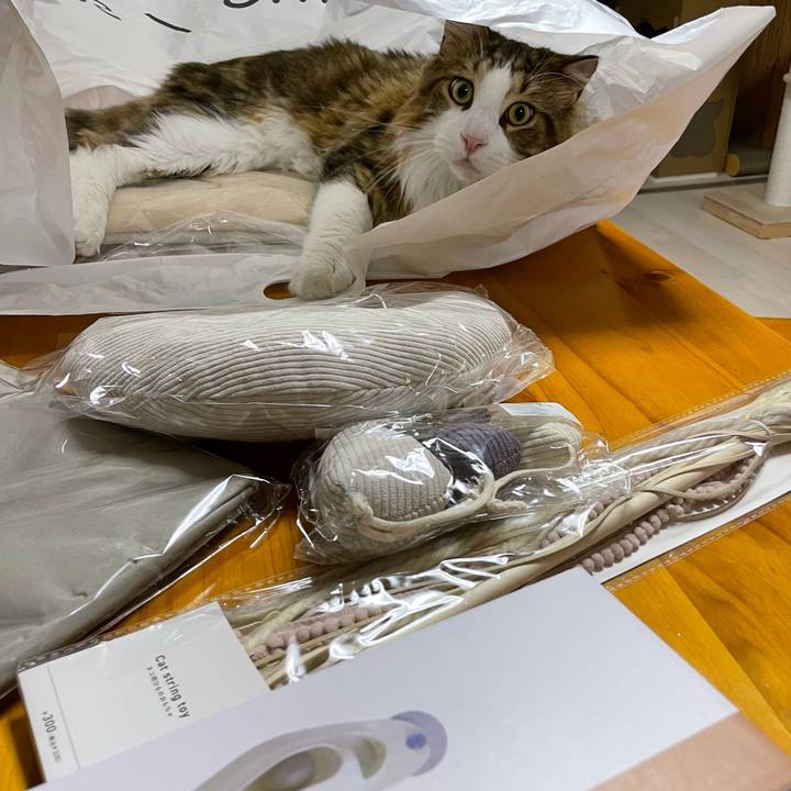 A5559b7f 81e7 493f 8750 d71ab22b9e06 1666611768393