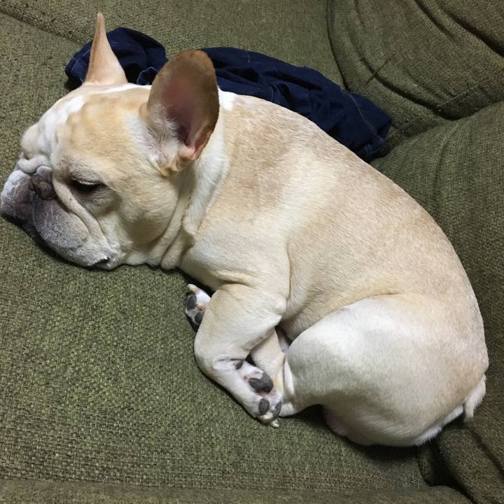 A5559d34 a6f6 4049 bab8 ad8937d01333 1512479441441