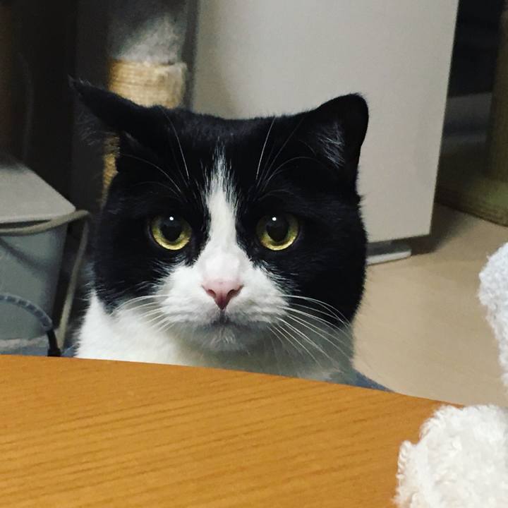 A555bbbf cc44 4f98 afb9 e4f279796d20 1634385955185