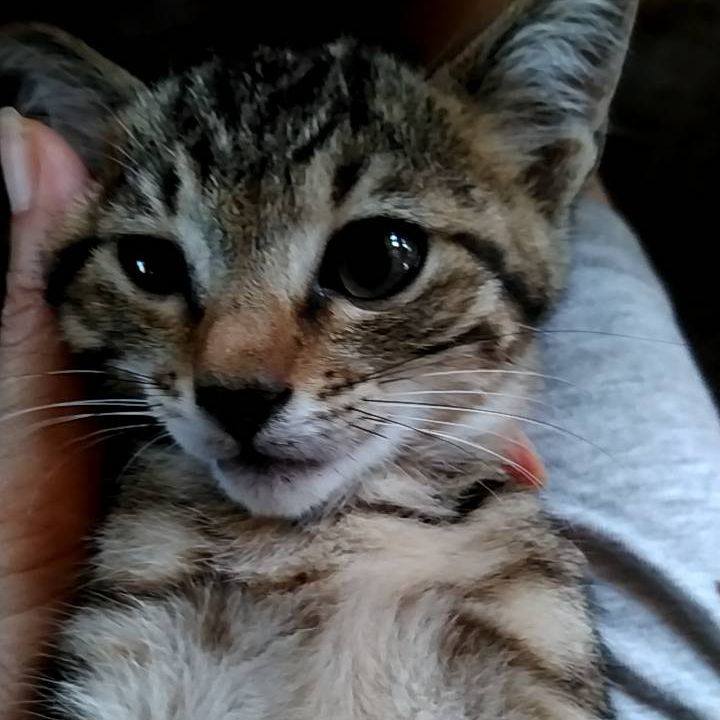 A555fe89 754a 405d a5a6 ee26f5966ea3 1692887922806