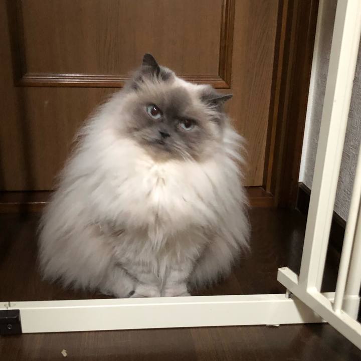 A5561175 c2a4 4a9a 83d8 af80472f7ad8 1684479118371