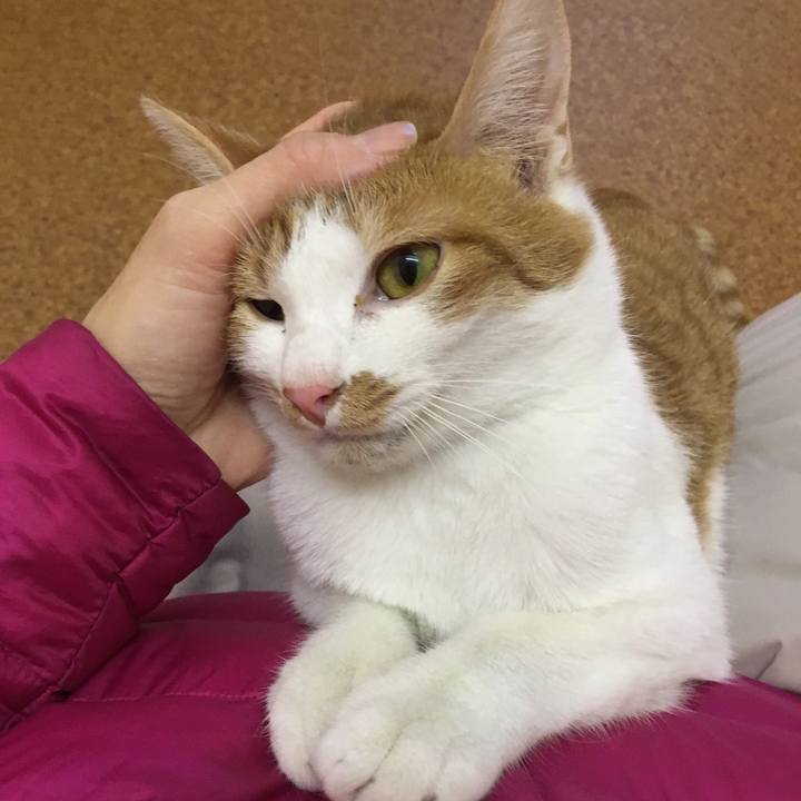 A5562bda af20 4b0b 81ba 3892f8f65b97 1515411048893