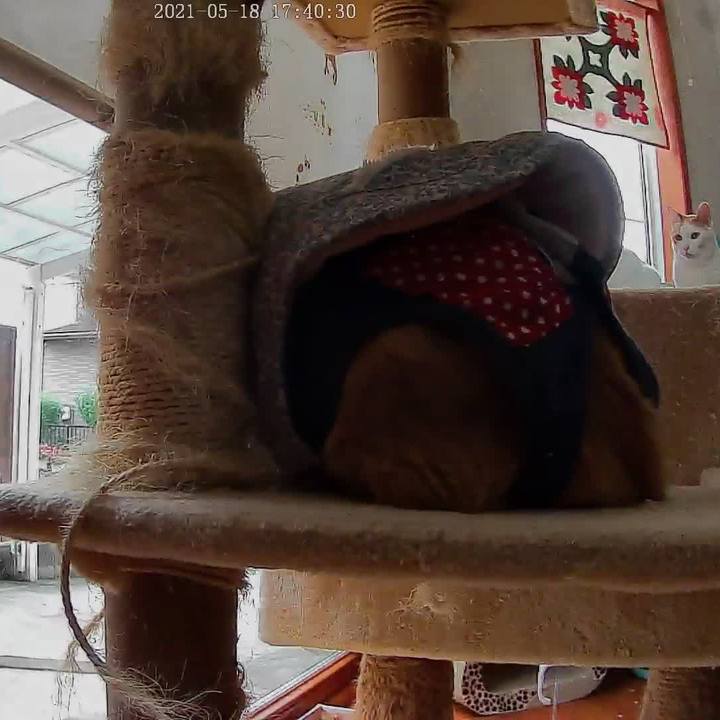 A5564d9c b537 4b0b 8d59 8c7f22af5c4b 1621330136304