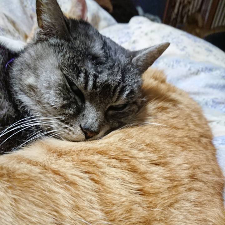 A5565086 210c 4f96 8a3a 10988b5599da 1578915658655