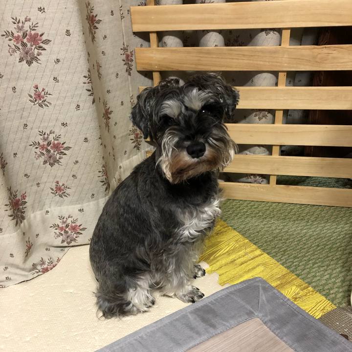 A556616d 73f5 4750 a266 15aff4080631 1610708937781