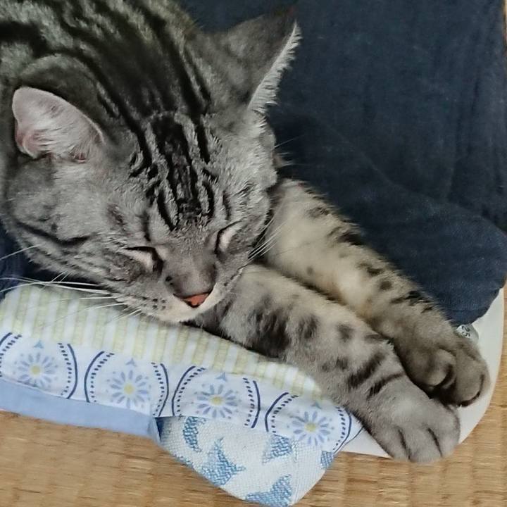 A556796e 0c22 42fe 91b8 a75221d2a03d 1559956774869