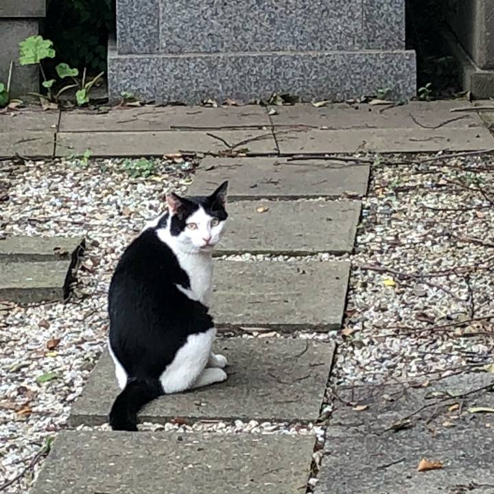 A5568cc2 1166 472c b0a5 9fcd8a28d783 1538570069805