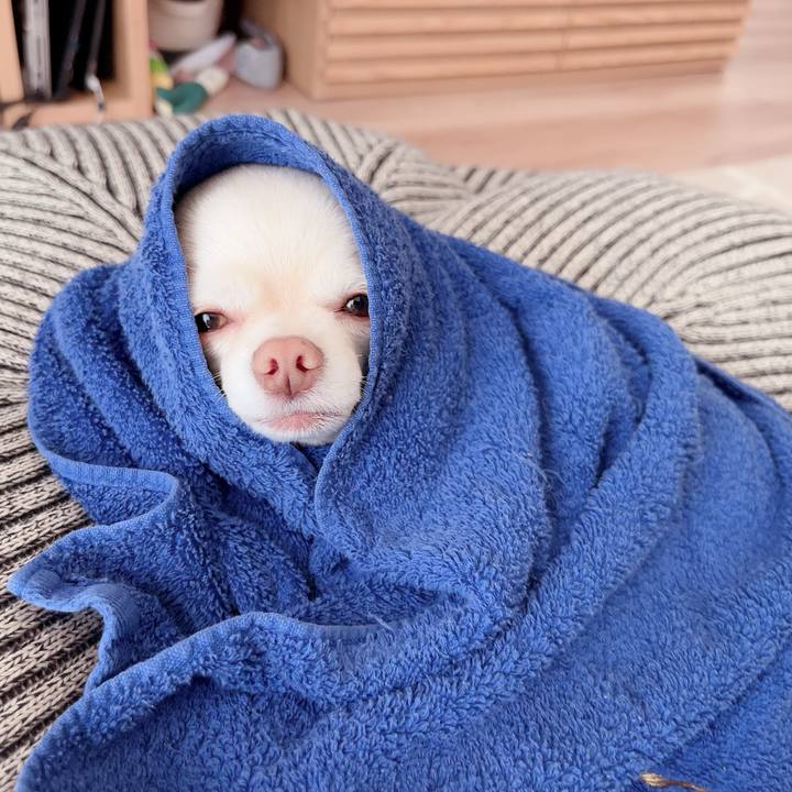 A55699d7 ca01 4649 9672 a6a4139d6674 1716548001935