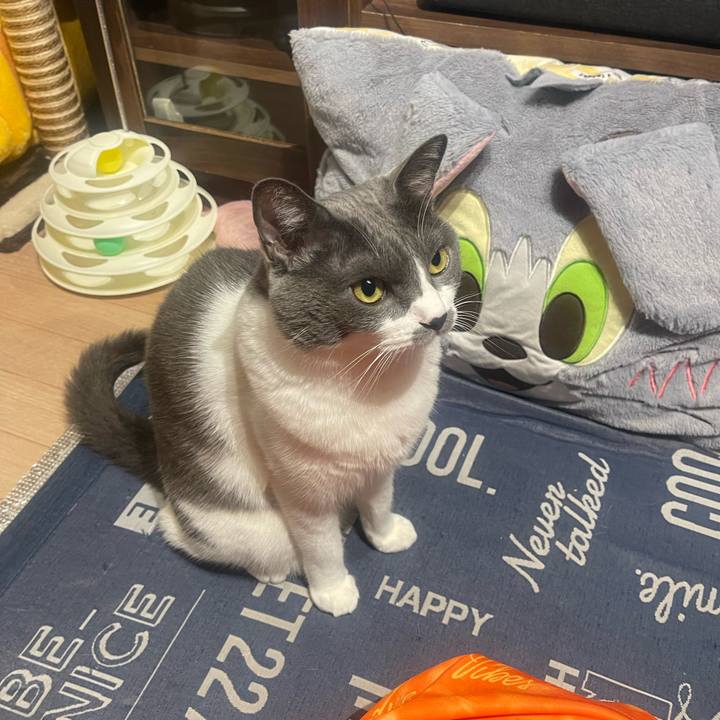 A5573cd2 9454 4516 ad45 7b72c0da37ad 1728299106429