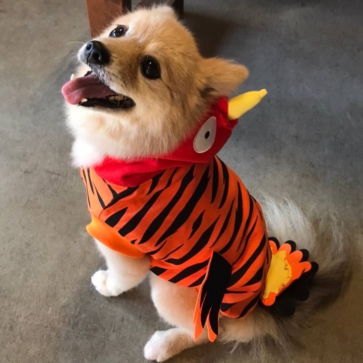 A5575d22 6849 4f8a 8345 142e39a0955e 1635346677774