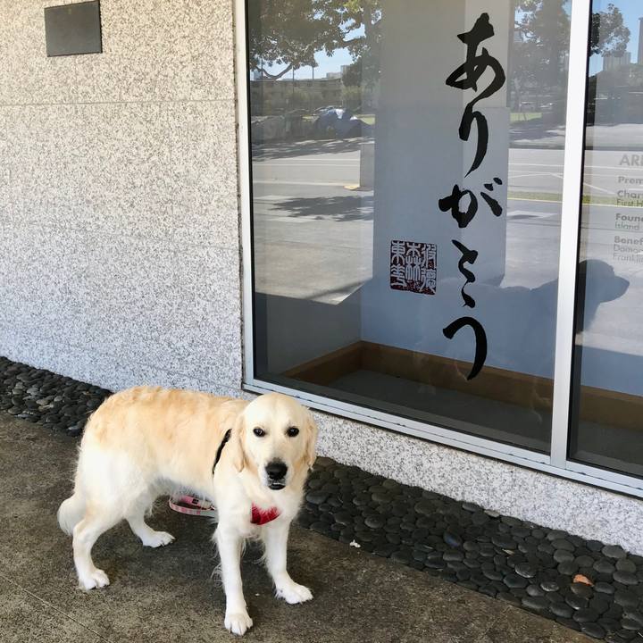 A5577d51 9ddb 43d5 887e 7ca3be7bb388 1574395758456