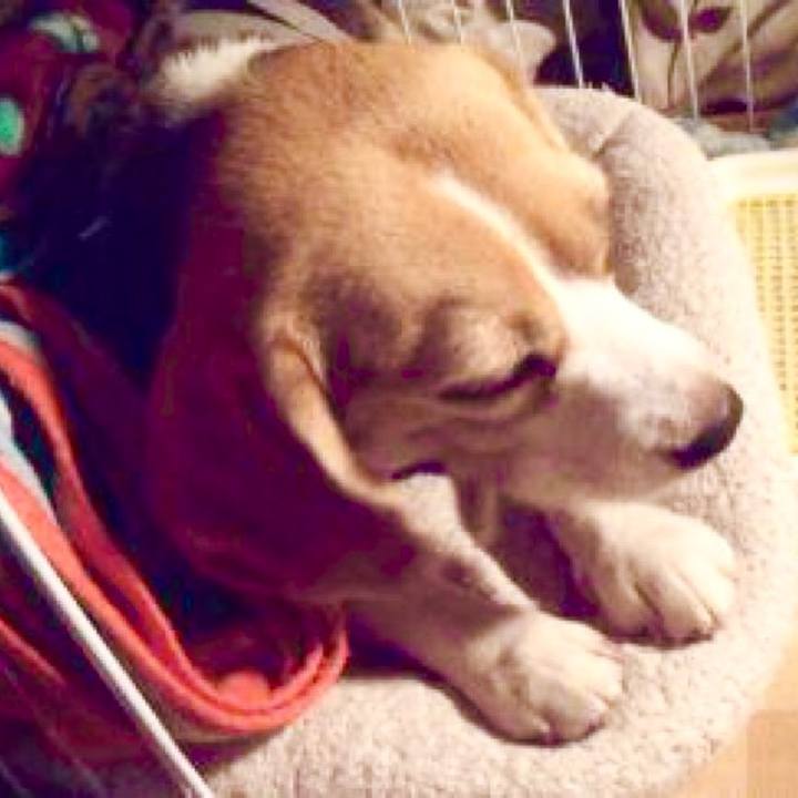 A5579646 c863 4463 a801 e17ae320dc68 1728777410046