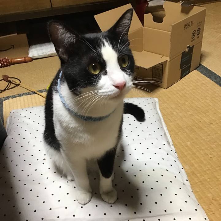 A557c50c c9db 4d26 bb66 ec3a7d3b3da9 1660297763854