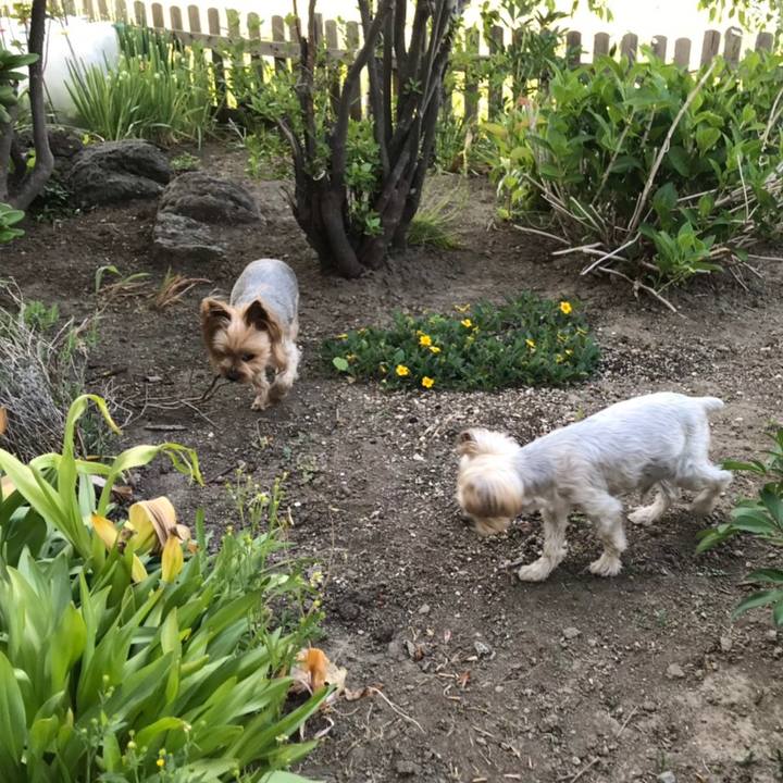 A5580088 c6d6 4d50 bee6 5943cfb79bb8 1560502392797