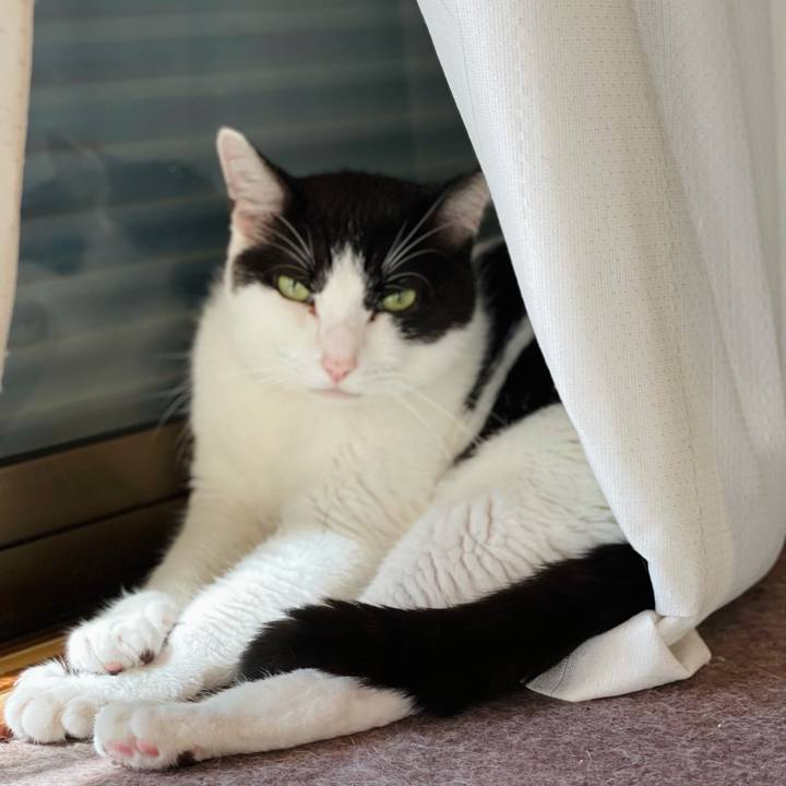 A5580885 7073 4f31 bc6b 1b4638103b82 1628736829339