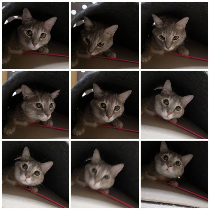 A558188e 541e 49ab 915a 2011324cc432 1577574748372