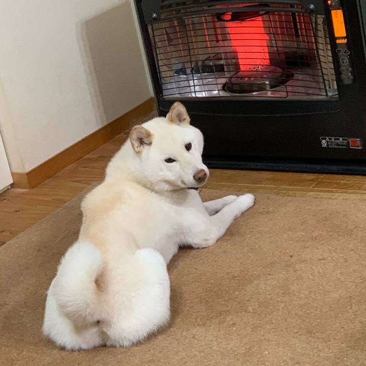 A5587b4a cb4e 4bb0 957e b954f8083d50 1609814533873