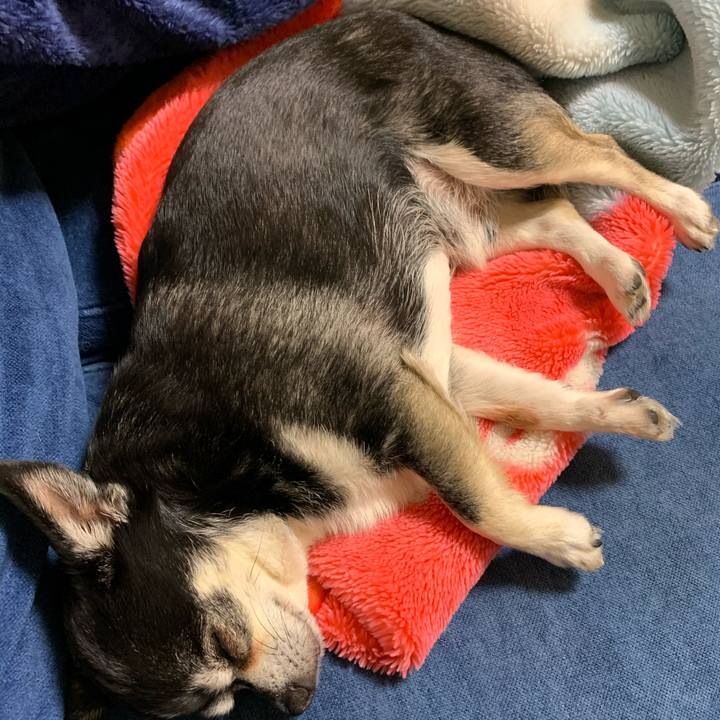 A5587c32 9b38 482b b63e f016430b10c1 1588159931862