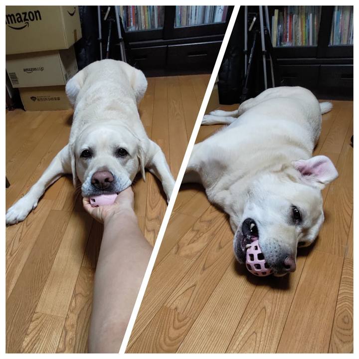 A558ddad 63c1 4388 bb9b 0c580349ae1d 1691113353687