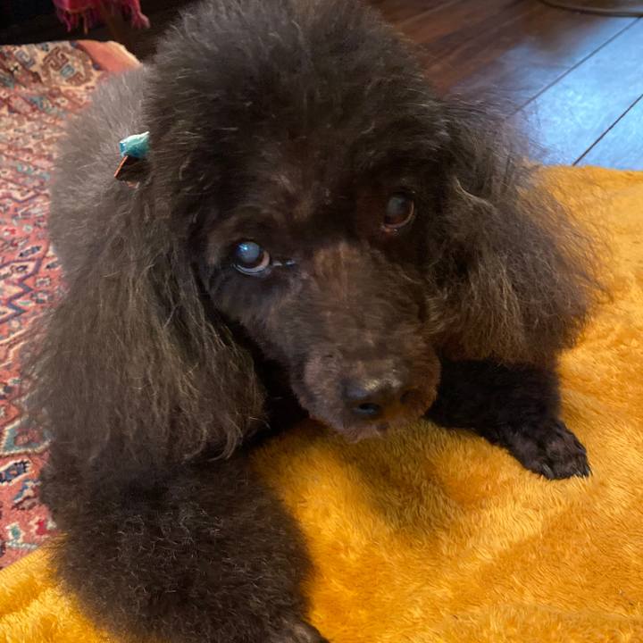 A559013a ac70 496d 9371 a47a88bbcfa3 1604281428394