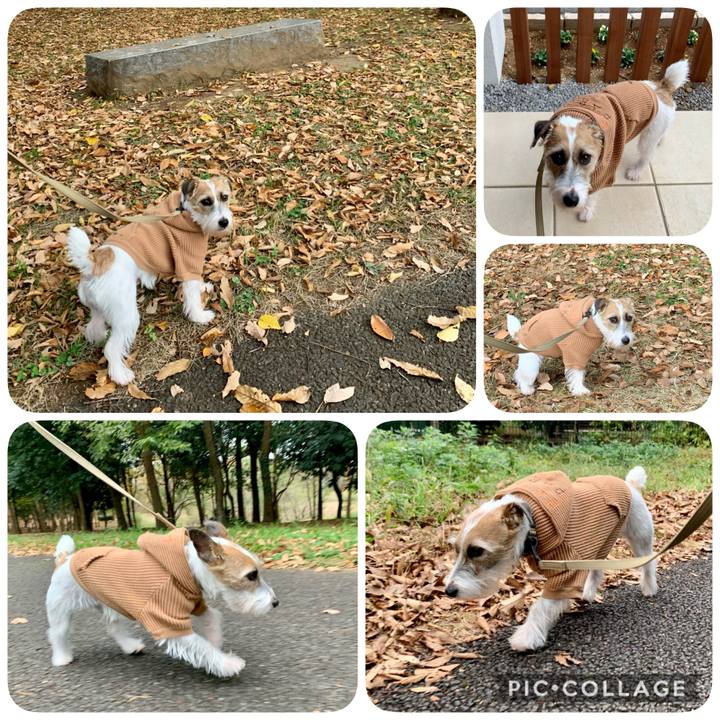 A559178d 0353 400d b018 3b47caf82f2e 1606892642742