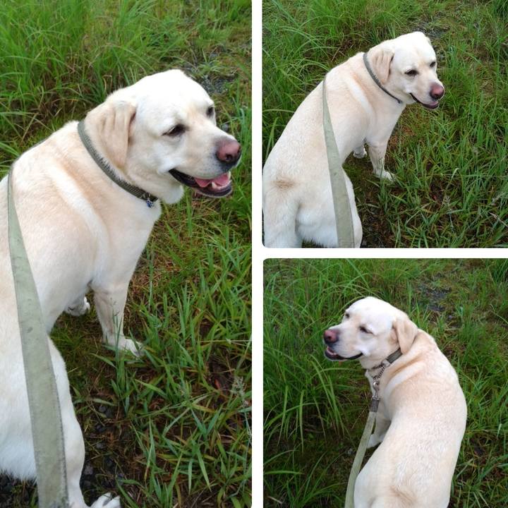 A55925ad e37a 405e a4ed 0d8643e516e6 1565768959856