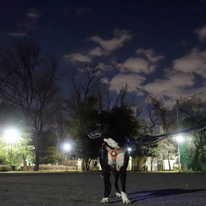 A55929a1 22e5 4332 9379 914abbffe2ce 1710328020975