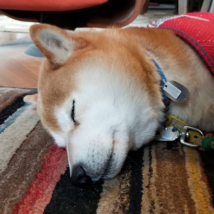 A5592c69 62ed 4c36 afdc 81c83cf99237 1583883691358