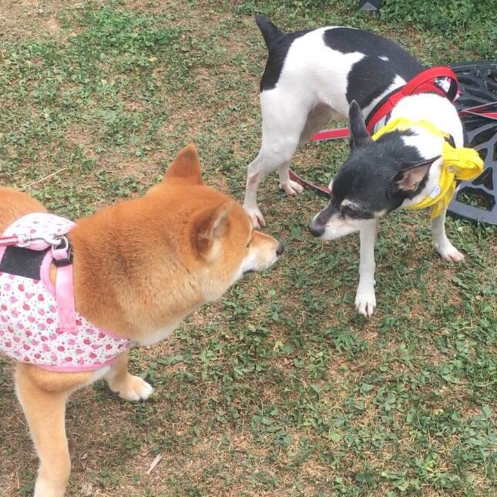 A55936fa c9e3 4a8d bca0 657956c7f750 1588558176767