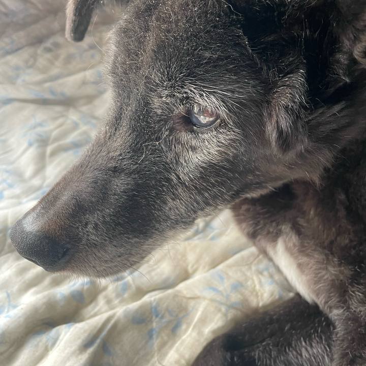 A5594287 7c54 4b82 83ea 2019347949b2 1774264898764