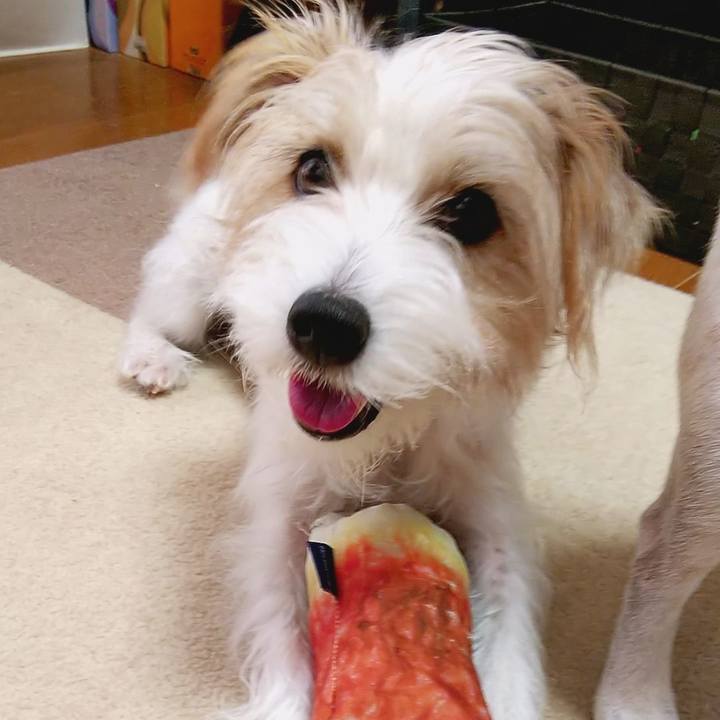 A55990a4 c1fc 4eaf ab6c 64297bded348 1537697390198