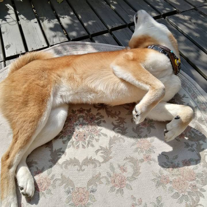 A559a2ed 45d5 4ef8 bc6e 3226980cb39f 1583028769845