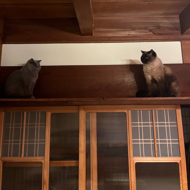 A559aaac 1ba4 4bdb 890d ee6002c1fda4 1671794465192