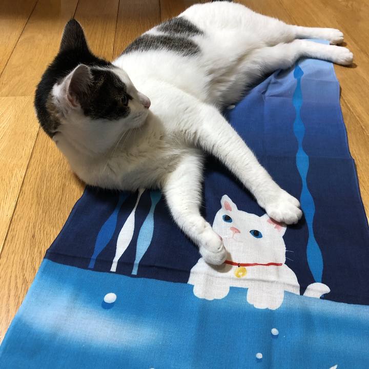 A559bde9 54df 4111 ad95 5ef5367cae6c 1626612100767