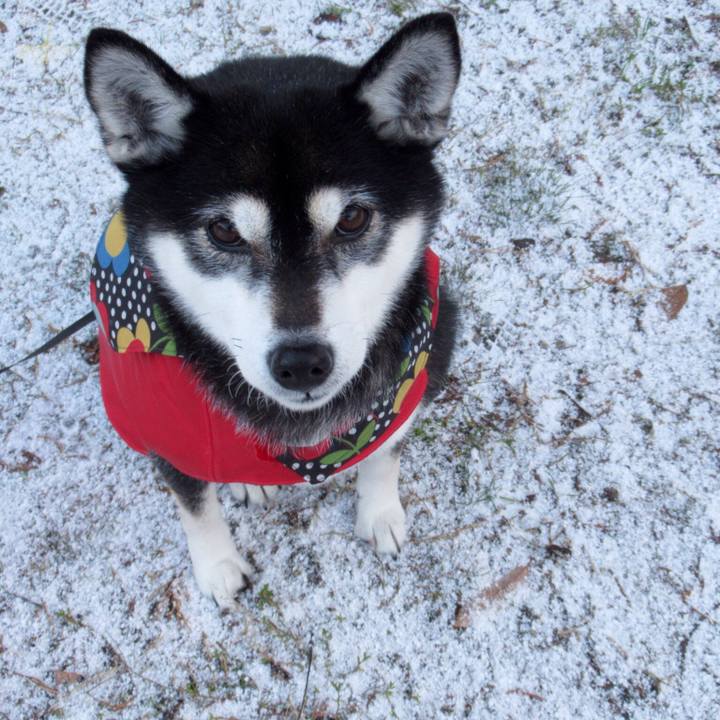 A559d498 aee5 4f3f bcd5 7e638a94cb06 1609032734609