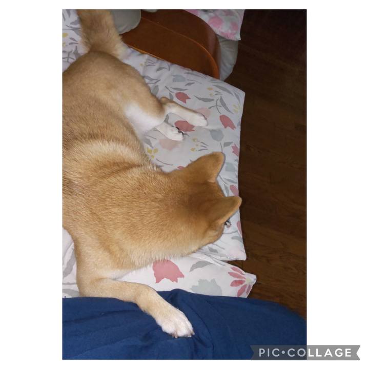 A559e2a7 1ee3 41e5 8e3e 77b041862197 1693809852549