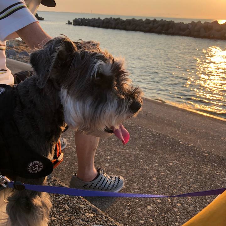 A559e6a0 9db4 45a9 8416 b7b29de2385a 1690029350789