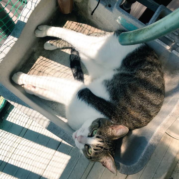 A559f901 0065 407d a9f6 183cf9f5249f 1526876785309