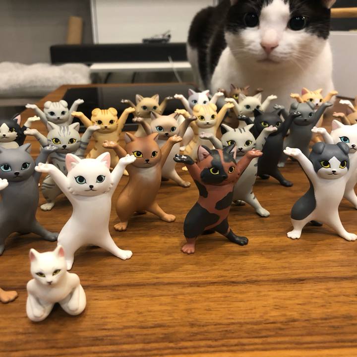 A559f9d9 1db0 48b3 9e23 aac9170fb093 1684366402513