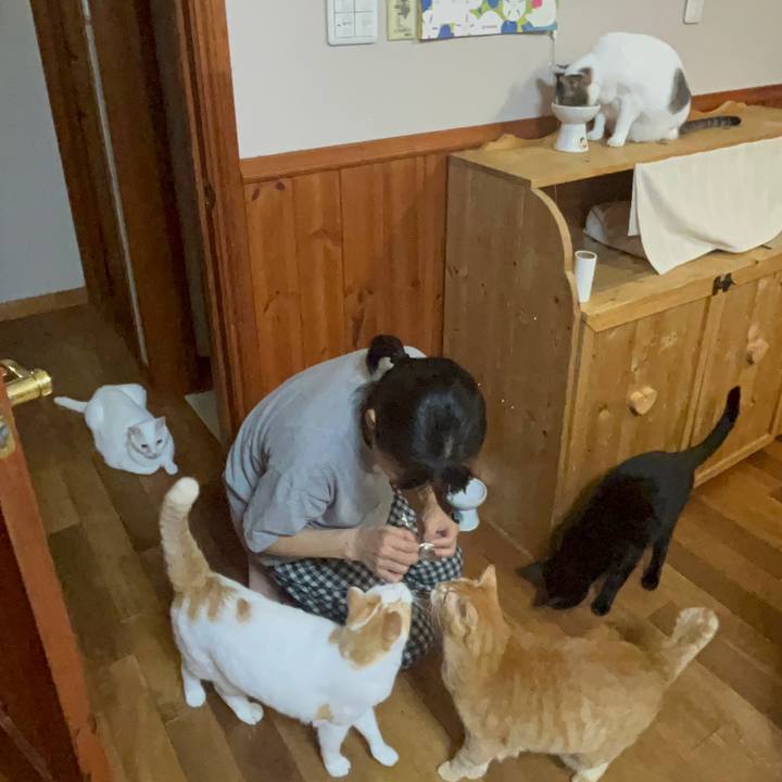 A559ff3c 8030 4f63 bc47 88f336e1469e 1689079240024