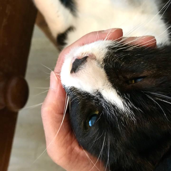 A55a2a58 d404 4a9b 9c3c 9524f2396327 1514261484437