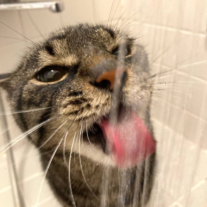 A55a4a4f f08a 4dca a4a8 b5c7acf78ce4 1690009310376