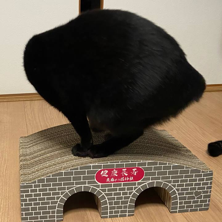 A55a5681 3ea5 4d70 90ce 283f5f04f92f 1646140114430