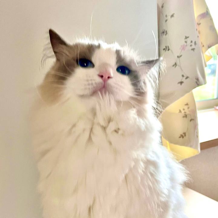 A55a7279 a415 4bc0 b328 7ee889ee2678 1689935000357