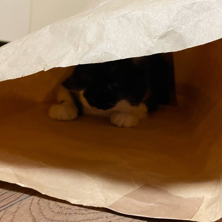 A55a7f09 6804 44c3 b0be c9f892930c72 1670391009233