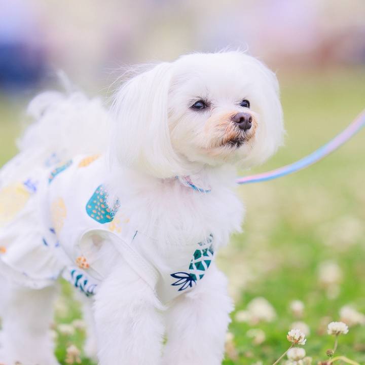 A55aa97c 1b52 4744 a64d c8edce097b0d 1664952641728