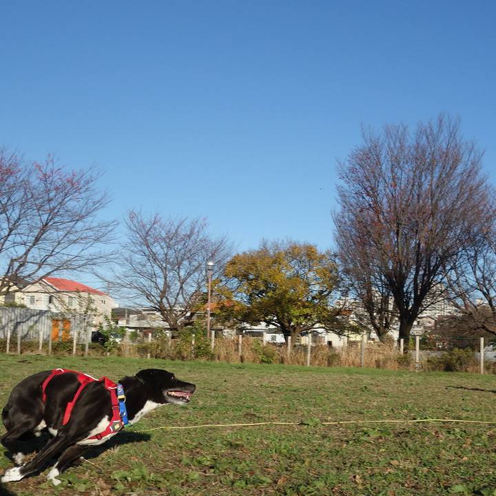 A55afc25 1801 4d8f b58c 3259f8f17e35 1669506129984